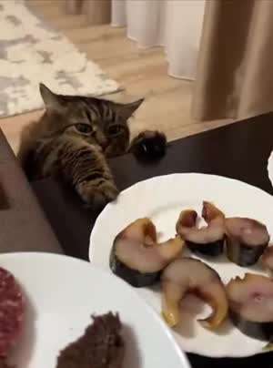 아.. 승질나 죽겠네