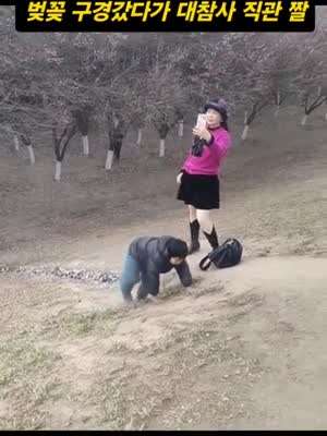 벚꽃 놀이 대참사 구경