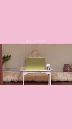 노지선