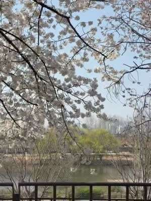 장규리