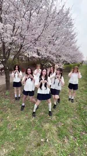 세이마이네임