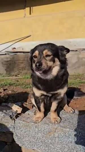 오늘이? ... 화요일이네 ! 잘 보내자구 아이고 이뻐 우리 깜순이