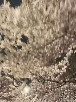 서은수 인별