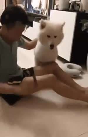 지리는 마술