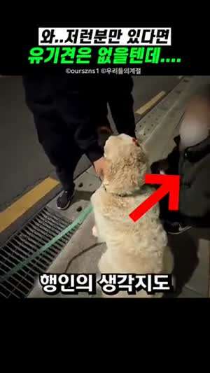 이런분만 있다면 유기견은 없을텐데…