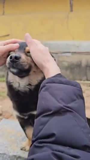 헤헤헤 오늘이? 월.화.수.목. 목요일이여~ 오늘은! 비가 많이 온디야
