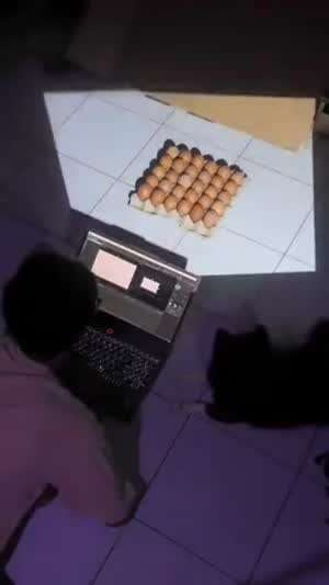 달걀 한판이 30개군요