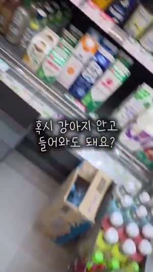 강아지 안고 들어와도 돼요??