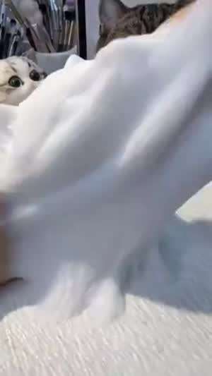 고양이 인형 만들기