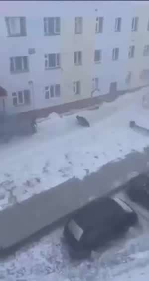 강한 바람