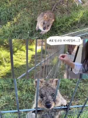 박세현