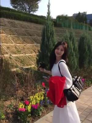 홍화연