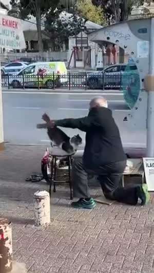 고갱님 털이 너무 상했다
