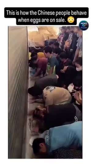 월드워Z 실사판 ㄷㄷㄷㄷ