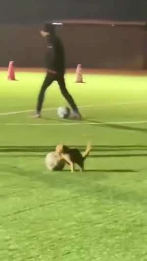 동네축구 새로운 회원
