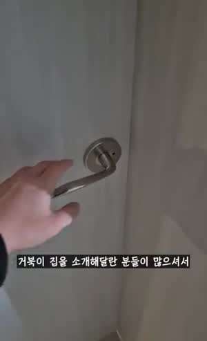 거북이집을 소개합니다