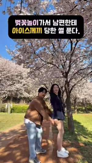 벚꽃놀이가서 와이프 아이스께끼 한 썰