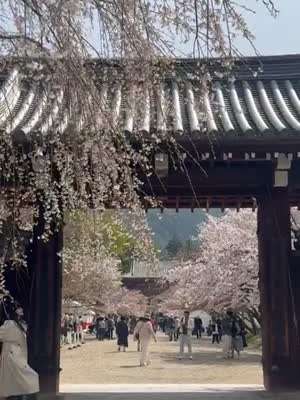 고보결 SNS