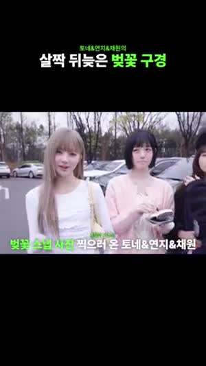 트리플에스 연지, 코토네, 채원