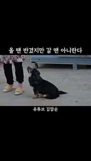 안냥~해 안녕~ 아니 언니 쳐다봐야지 야 내가 고구마 줬잖아 오늘