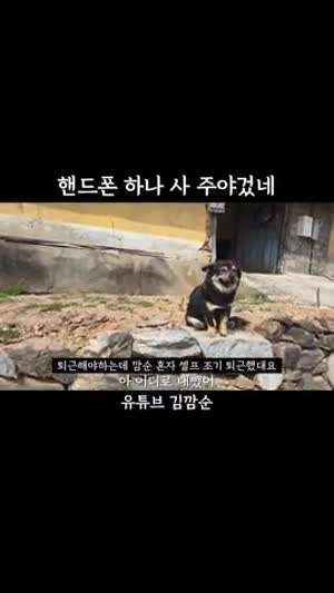 아 어디로 내뺐어 어디로 내빼갖고 없어가지고 너 찾으러 다녔잖어