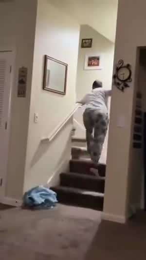 더 멍청한 놈은 어느 쪽일까요?