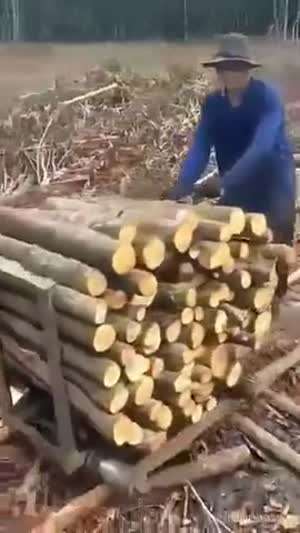 Wood-road
