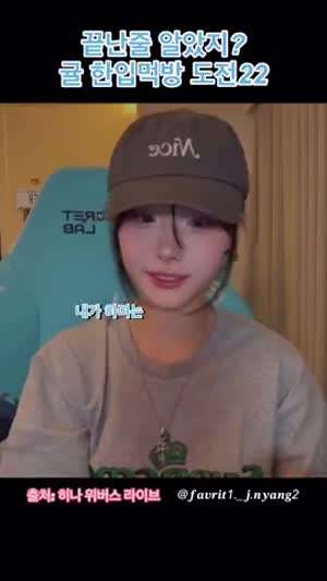 QWER 히나 귤 먹방
