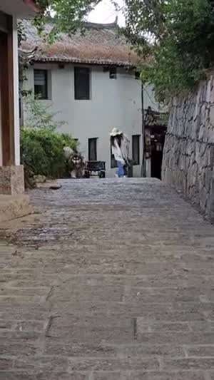 저희 호텔에서는 직원이 무료로 손님 짐을 옮겨드립니다