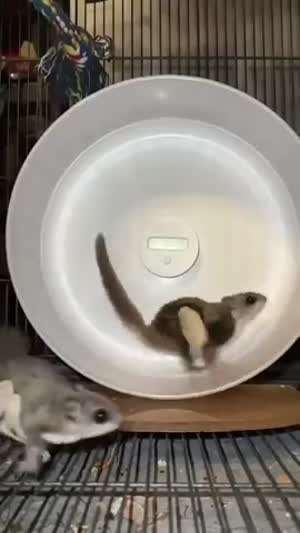 에고 어지러워죽간네