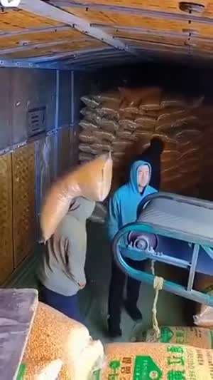 진기명기