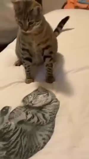 뭔가 이상한데?