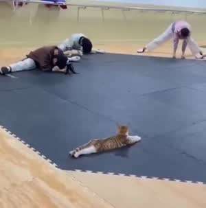 새로 오신 스트레칭 강사님