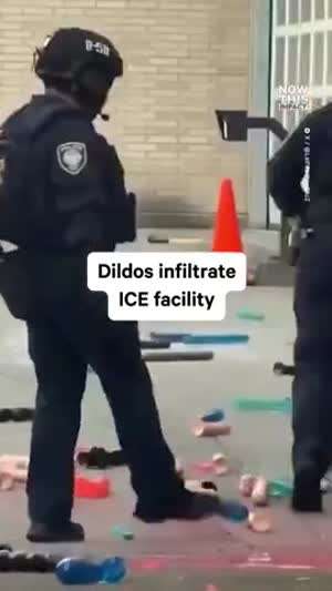 딜도 공격을 받은 미국 ICE