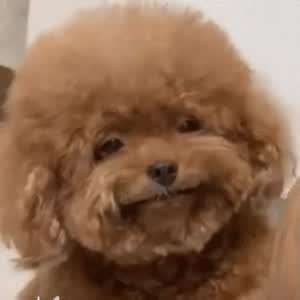 인도네시아가 이름이 인도네시아 인 이유
