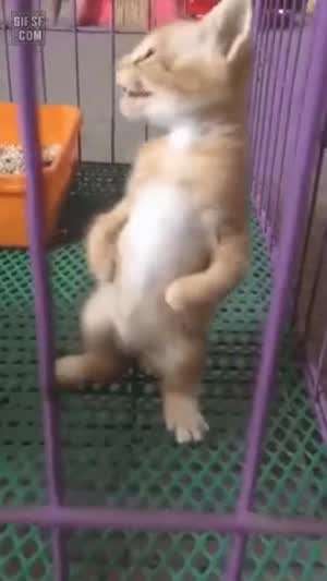 뱅기서 19금 행위한 부부의 사이다