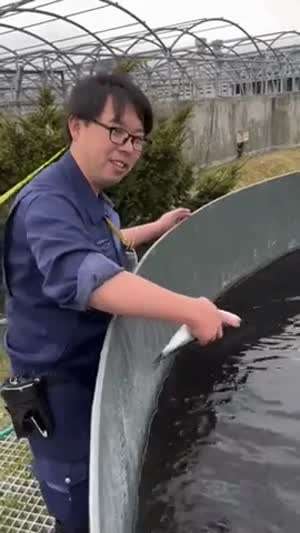 물고기를 물에 가져갔더니