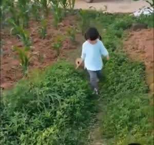 순간적으로 서로를 잃어버림