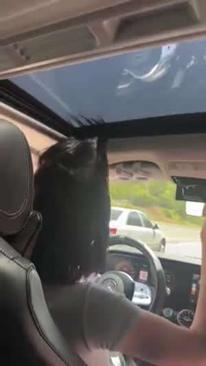 썬루프에 머리카락 낀 여성
