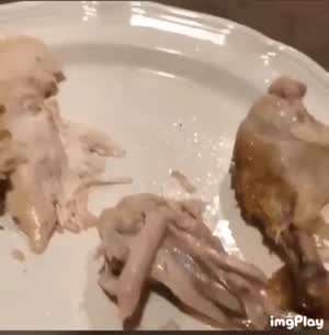 게이머들을 위한 짤