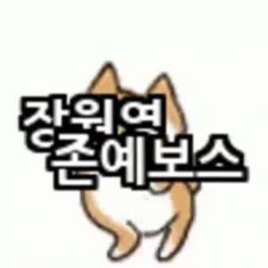 아이브 장원영