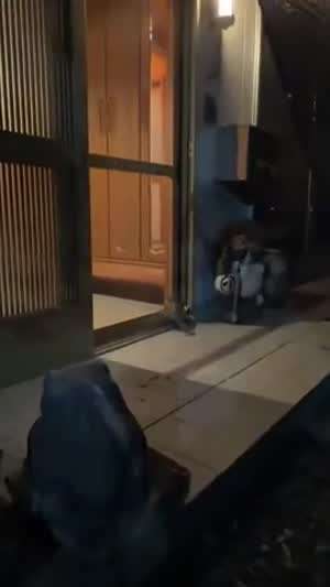들어갈꼬야!