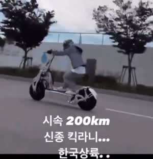 킥라니 최종 진화 형태