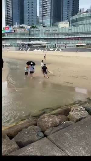 전형적인 