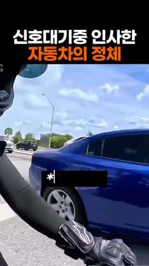 신호대기중 인사한 자동차의 정체