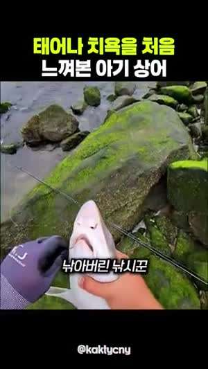 나중에 상어에 물리면 난 줄 알아라