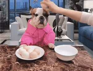 그만하개!