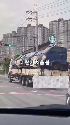 매운탕거리 수송 차량