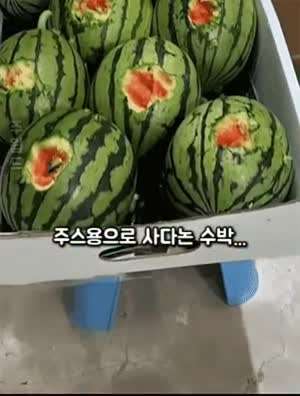 사고뭉치