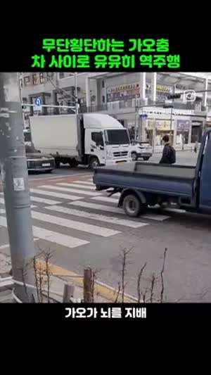 무단횡단 가오충